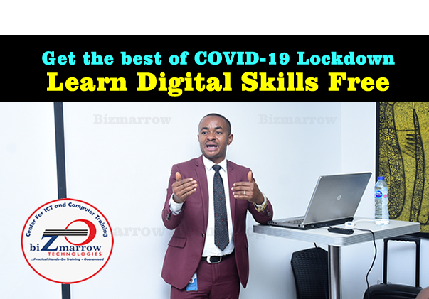 Free Digital skills training in Abuja Nigeria and Africa bizmarrow technologies